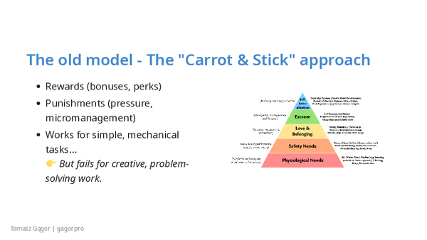 Slide deck of Why You should not motivate people presentation