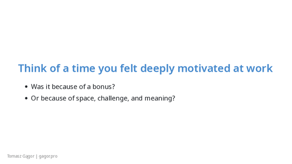 Slide deck of Why You should not motivate people presentation