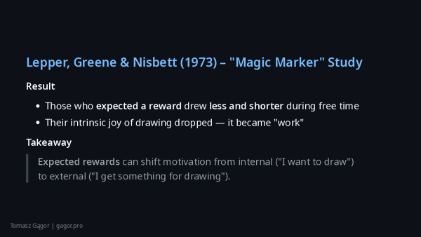 Slide deck of Why You should not motivate people presentation