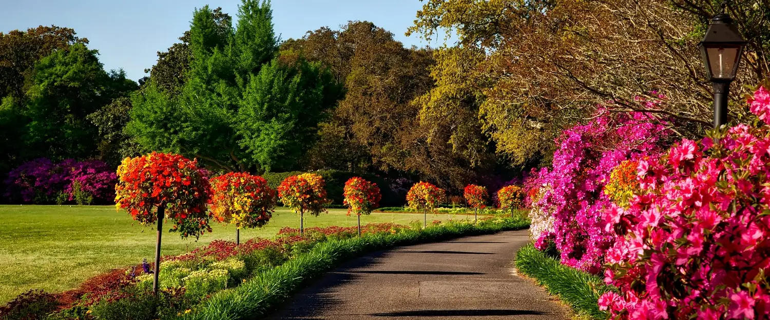 Rain falling on a gardener when planting plants