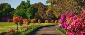 Rain falling on a gardener when planting plants