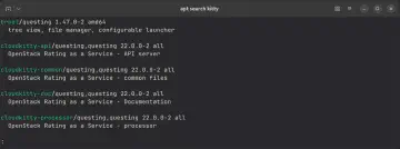 A terminal window showing the output of an apt search command.